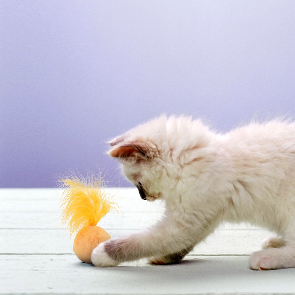 3pcs Feather Cat Toys Funny Interactive Catnip