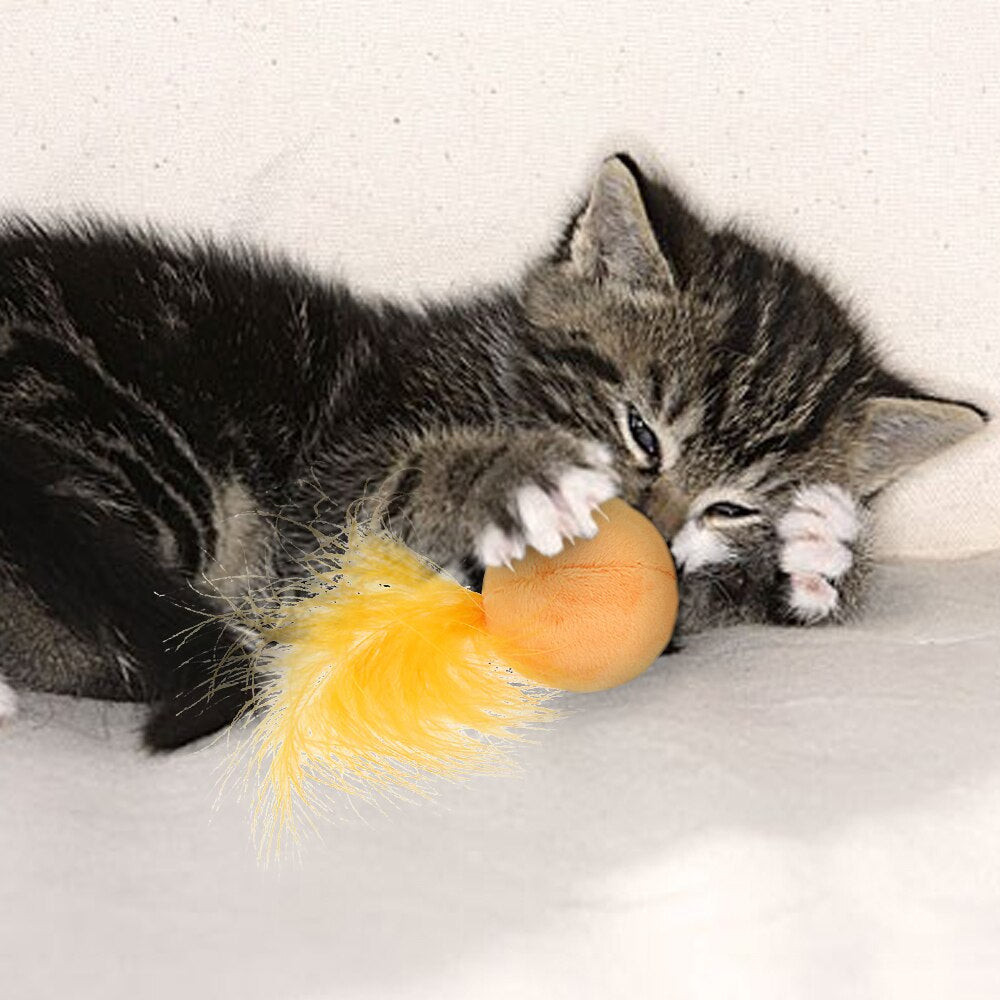 3pcs Feather Cat Toys Funny Interactive Catnip